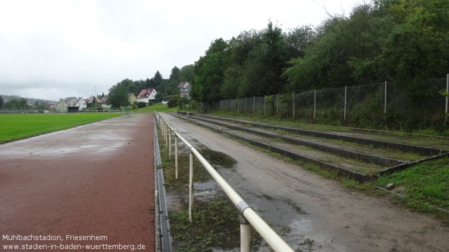 Friesenheim, Mühlbachstadion