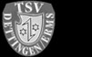 TSV Dettingen/Erms 1848