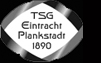 TSG Eintracht Plankstadt 1890