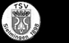 TSV Sielmingen 1898