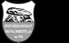 SV Eintracht Bad Fallingbostel von 1916