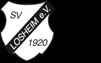 SV Losheim 1920