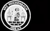 VFC Reichenbach 1996