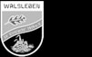 SV Eintracht Walsleben